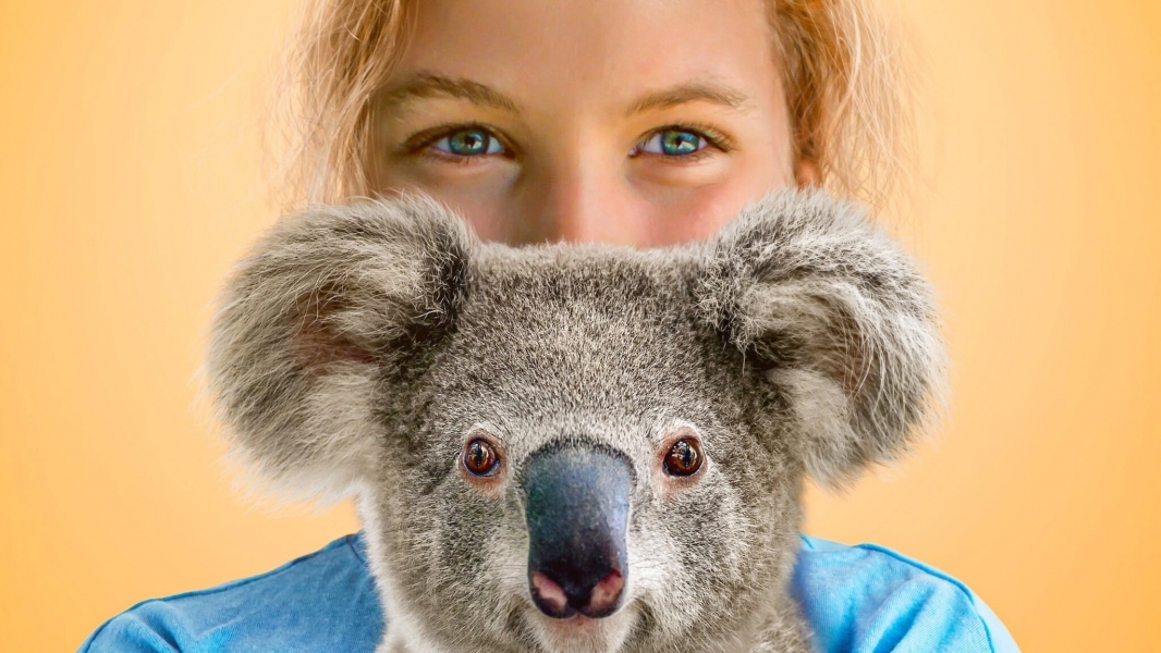 Izzy's Koala World