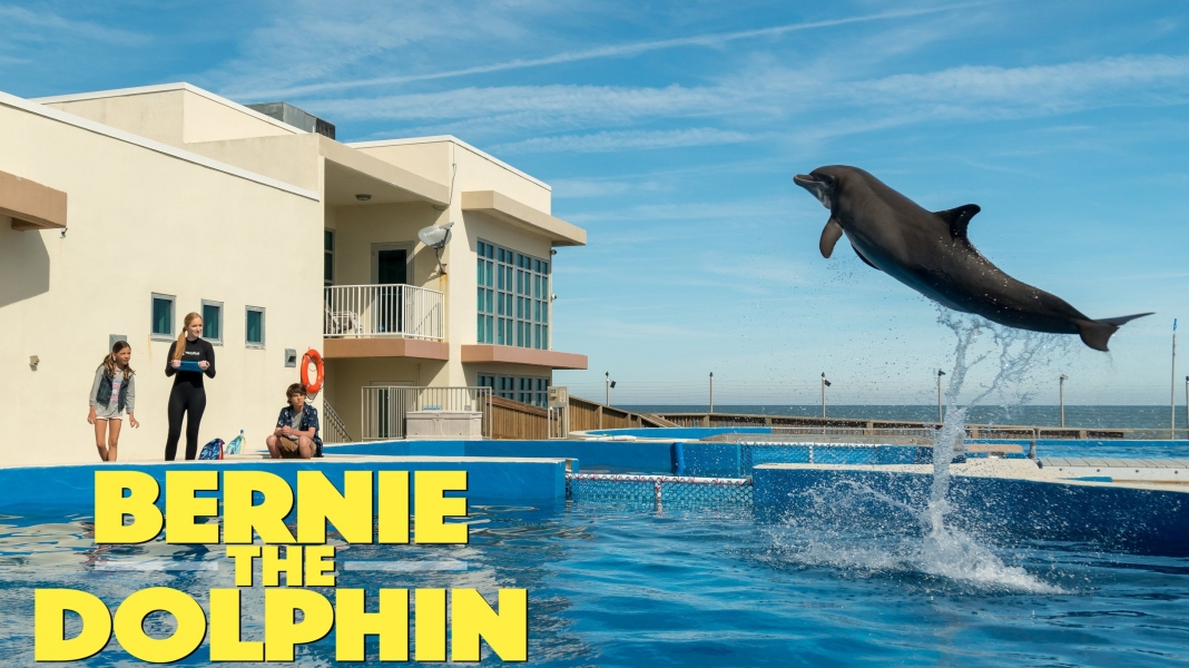 Bernie the Dolphin