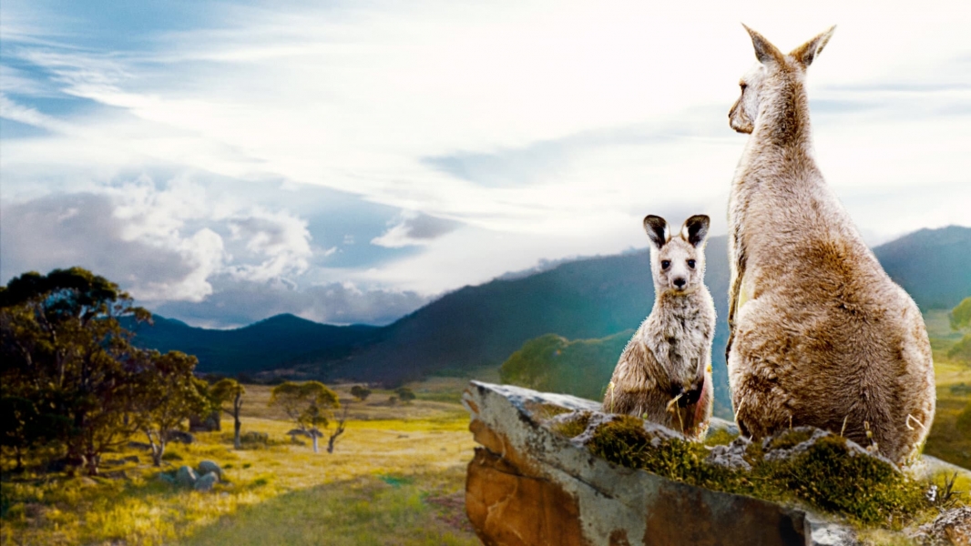 Kangaroo Valley