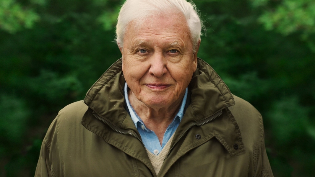 David Attenborough: A Life on Our Planet